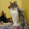 Отзыв от Марина Басова
